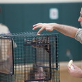 IMG 8163